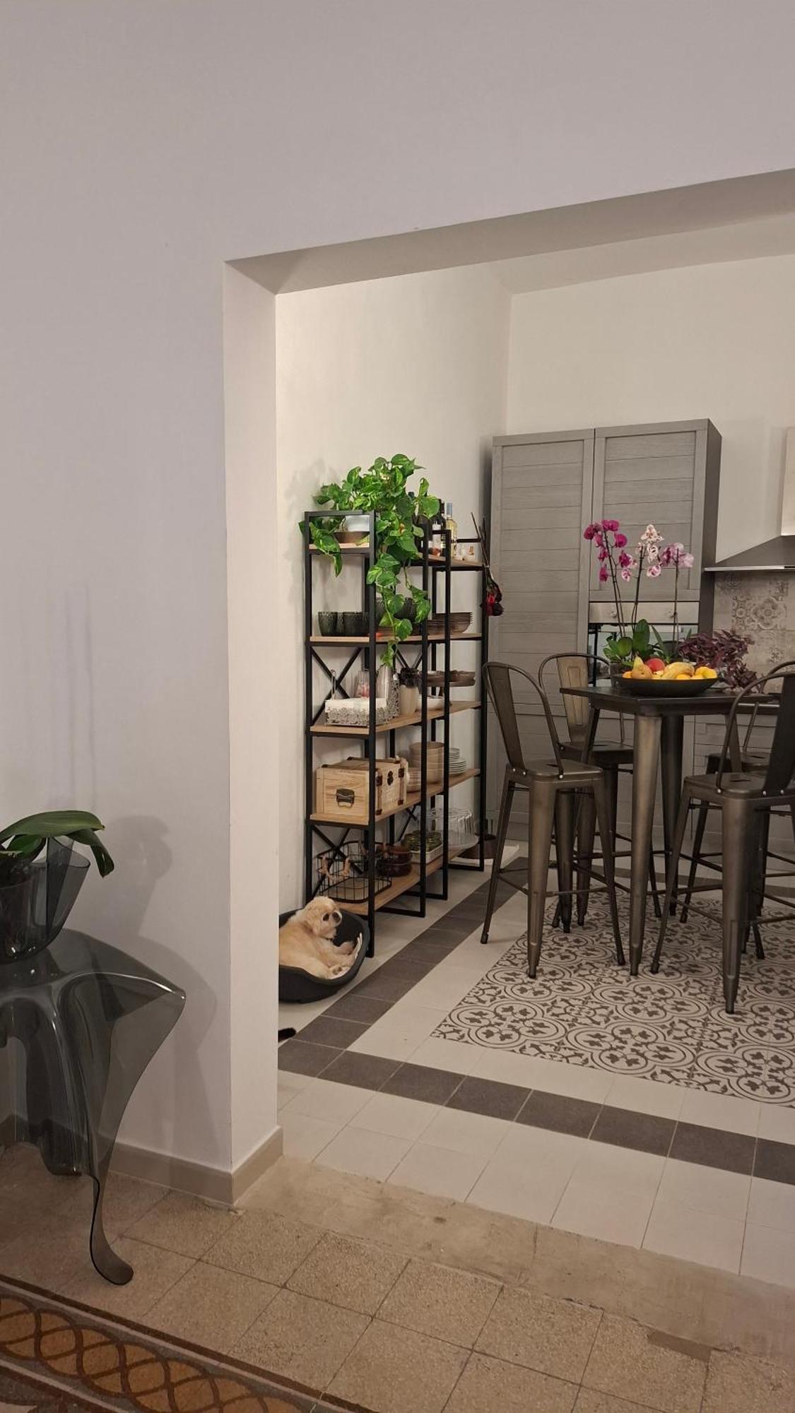 Casa Verdina, Nel Cuore Di 阿尔盖罗 外观 照片